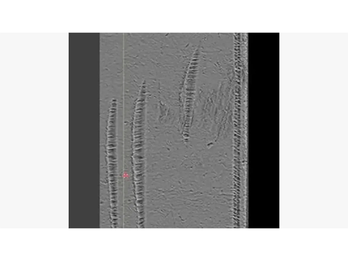 Q3M bullet viewing markings in 3D